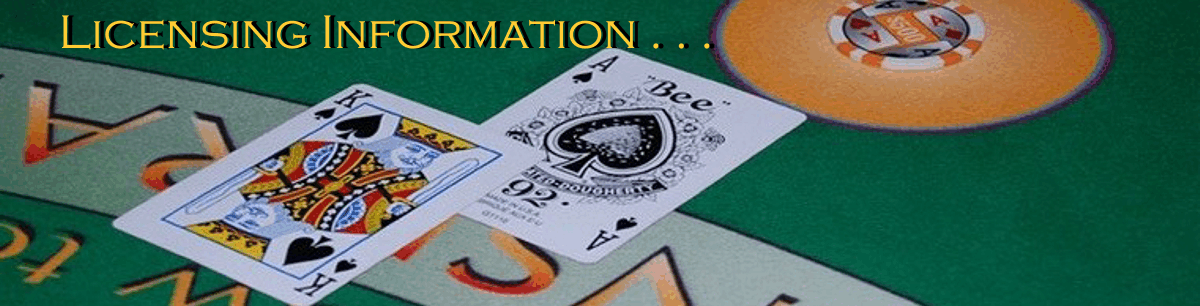 Casino Parties | Casino Party Planners - Fully Licensed