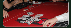 Casino Party Texas Hold 'Em